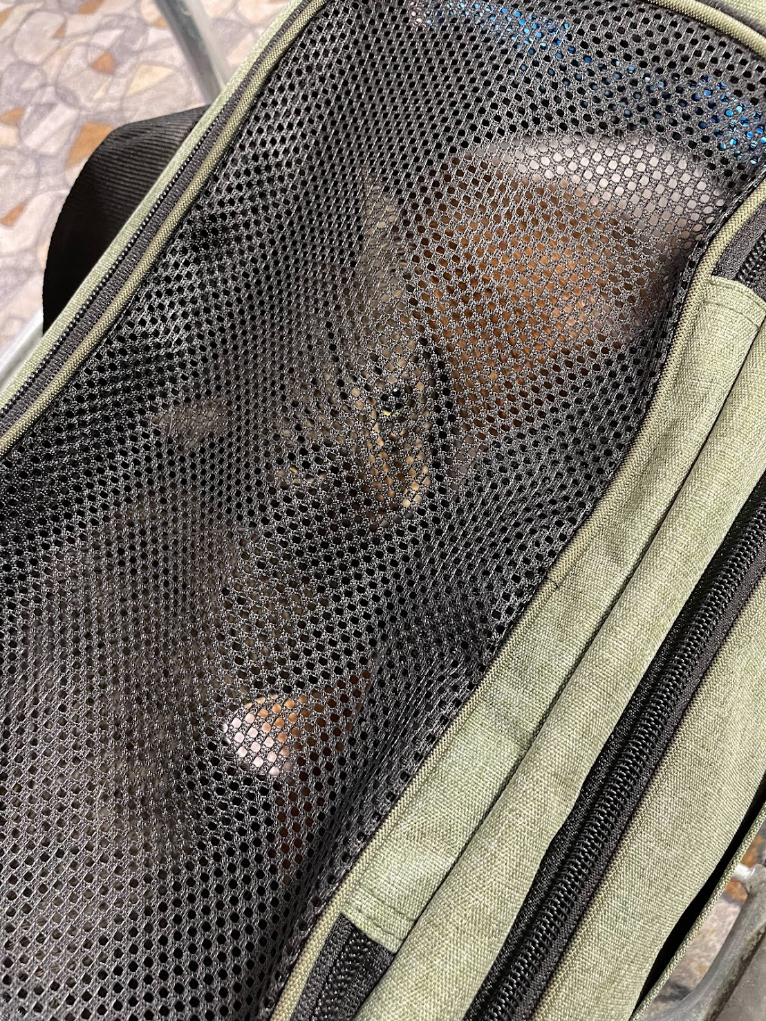 我的欧洲生活 – 瑞典篇